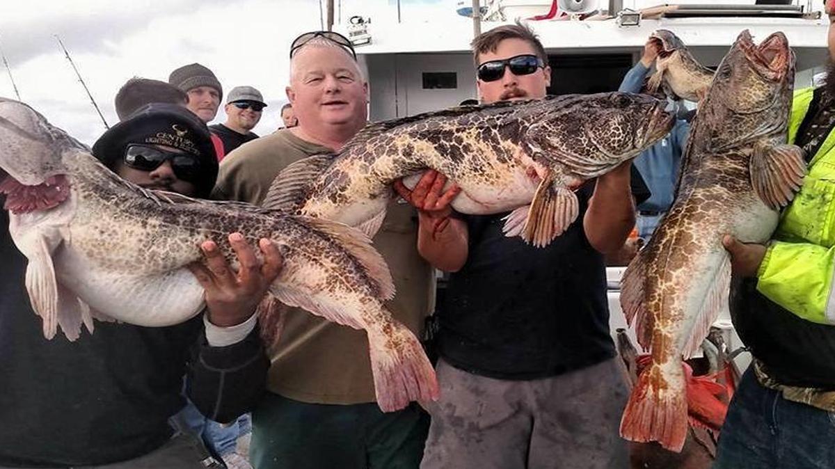 Virg’s Landing deckhand Cody Doot (left) shows off a 30-pound lingcod caught aboard the Fiesta on a long-range trip Dec. 21 by New York’s John McConnell (second from left).