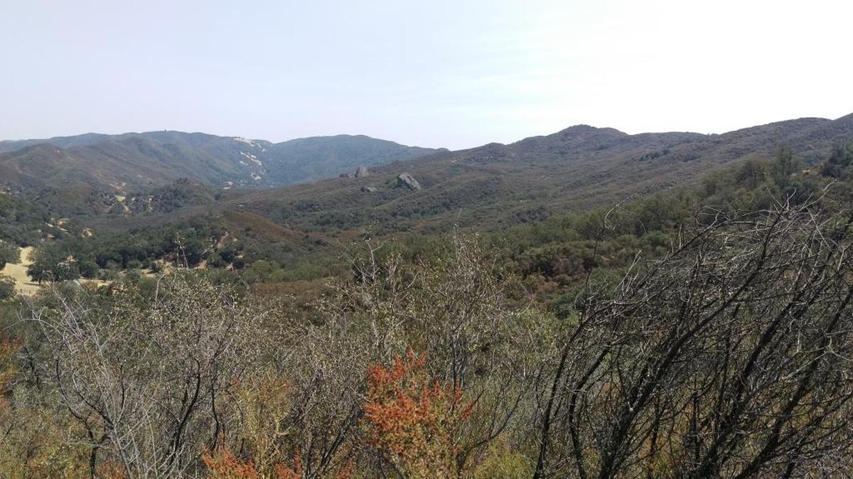 A view from the Rinconada Trail.