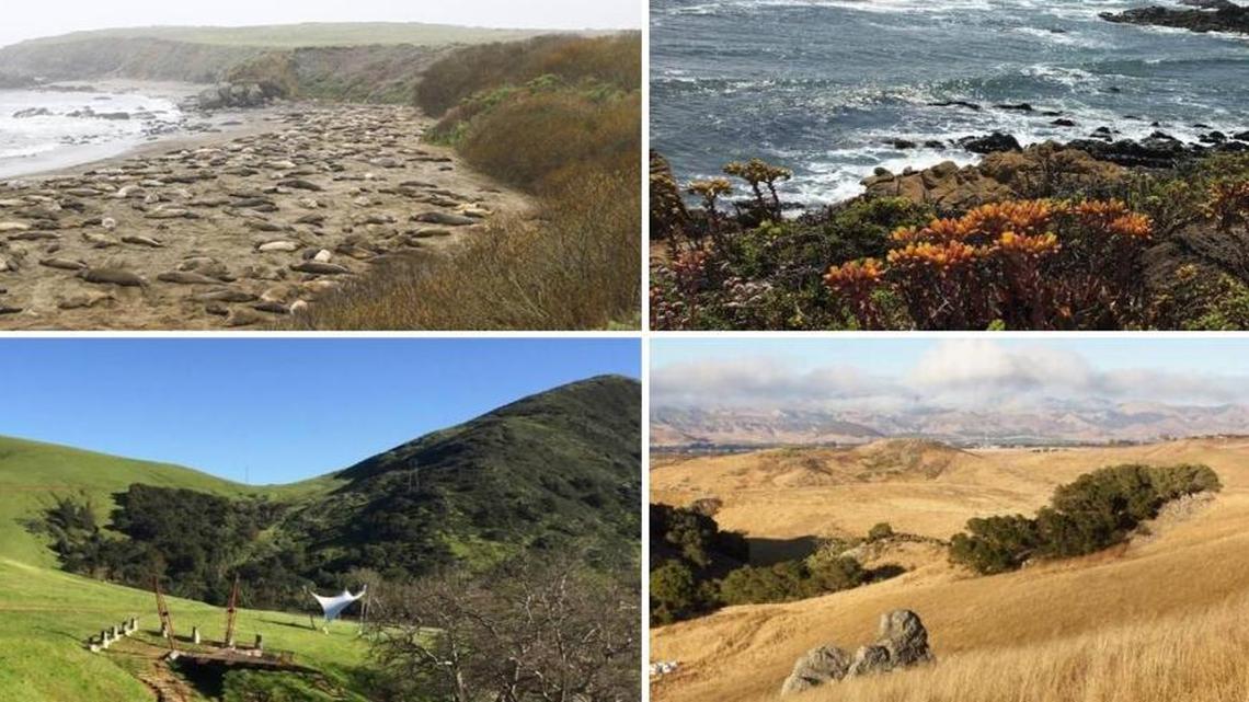 The best family-friendly hikes in SLO County