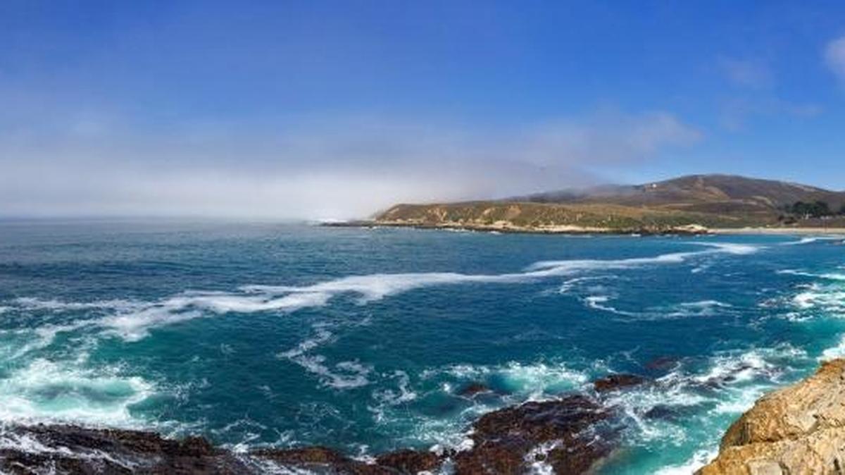 A view from the Bluff Trail at Montana de Oro State Park.