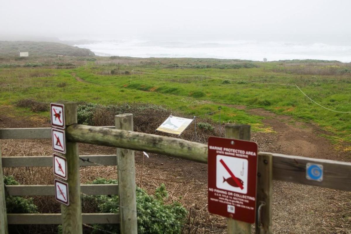 Get away from the crowds and check out the elephant seals on this easy hike along the Piedras Blancas cliffs.