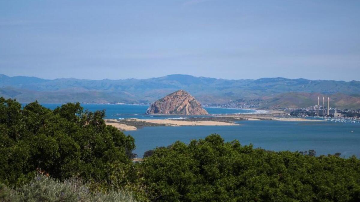 The Morro Dunes Ecological Reserve offers a variety of terrain and expansive views of Morro Bay.