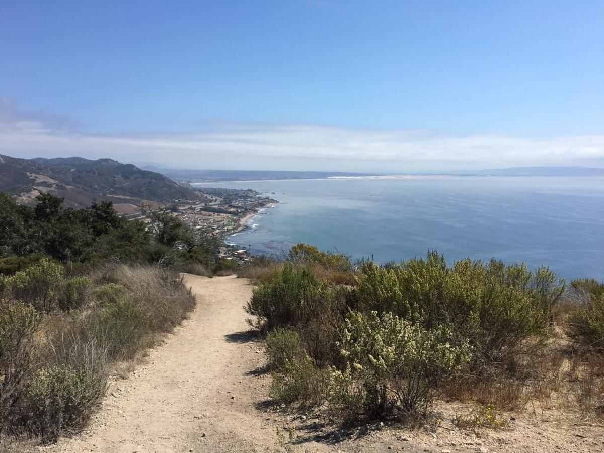 The Avila Ridge Trail offers views that stretch from San Luis Bay and Avila Beach, down south to the Oceano Dunes and even up Highway 101 to Cerro San Luis Obispo.