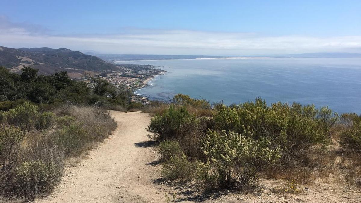 The Avila Ridge Trail offers views that stretch from San Luis Bay and Avila Beach, down south to the Oceano Dunes and even up Highway 101 to Cerro San Luis Obispo.