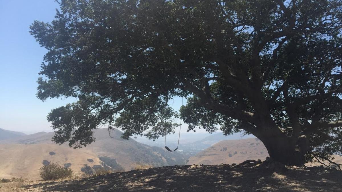 A view of the Serenity Swing hike in Poly Canyon.