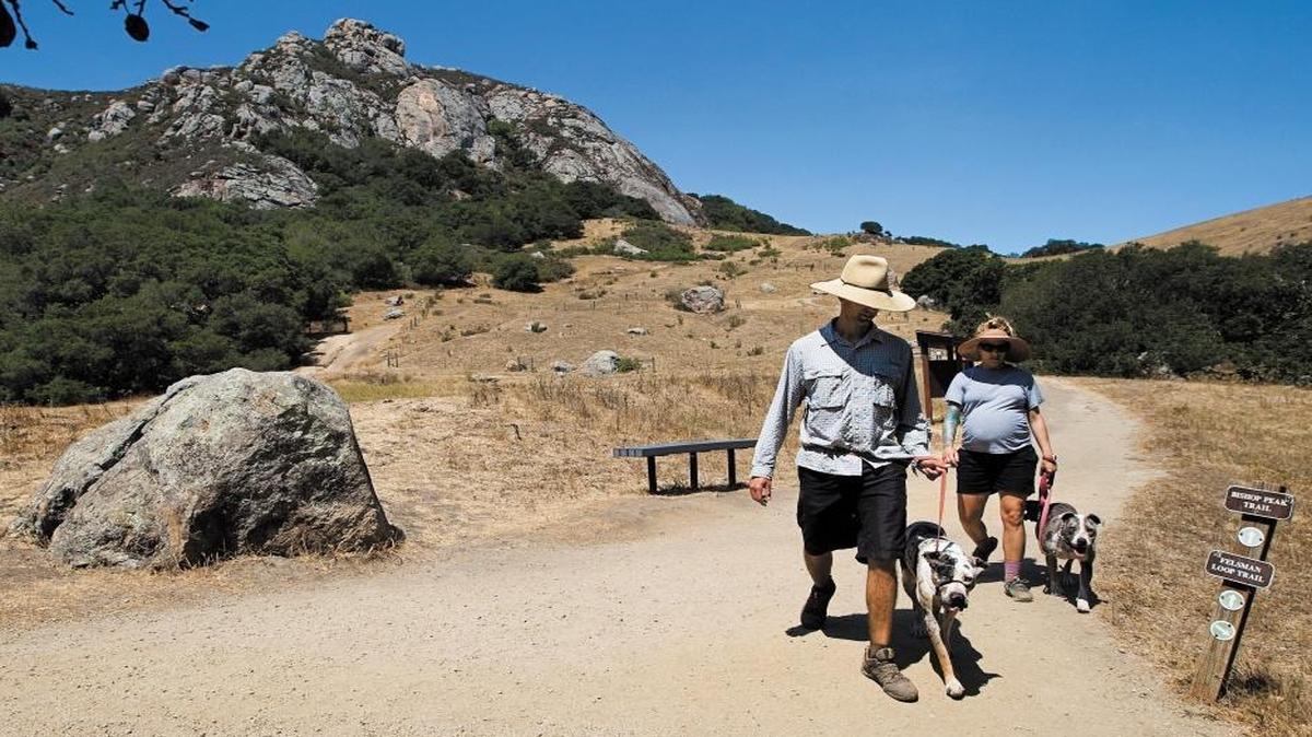Brian and Jen Nix and their dogs Monty and Ella take a morning hike along the Felsman Loop trail at Bishop Peak in San Luis Obispo in 2013.