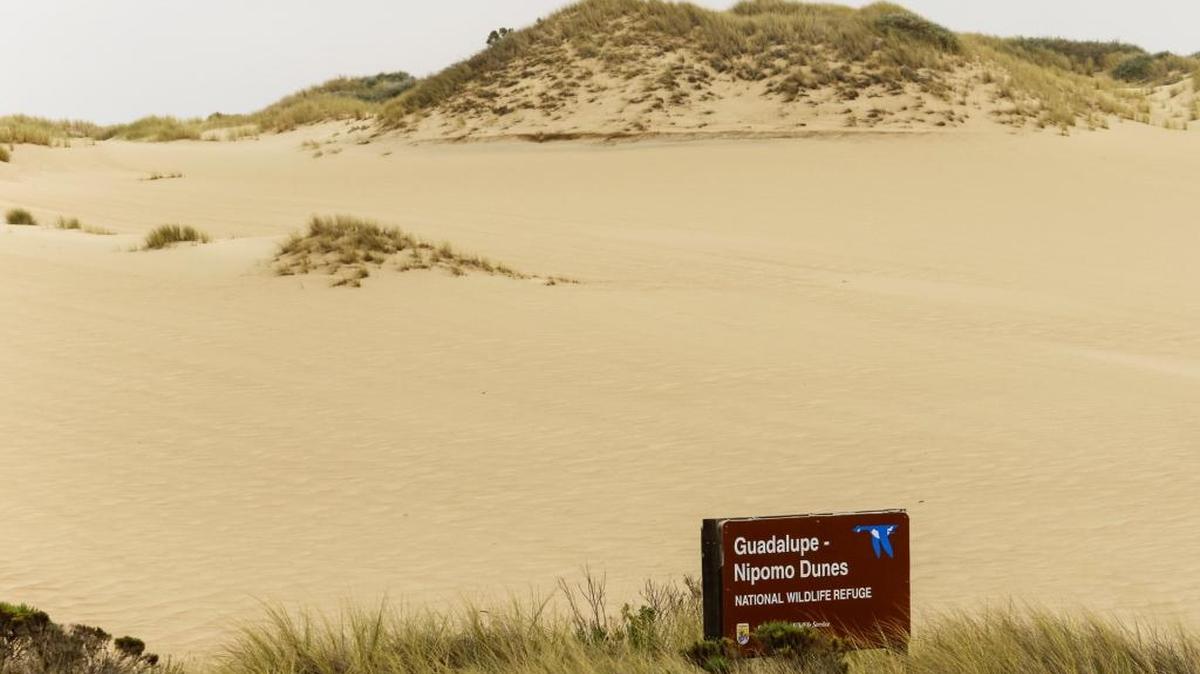 The Guadalupe Nipomo Dunes Wildlife Refuge.